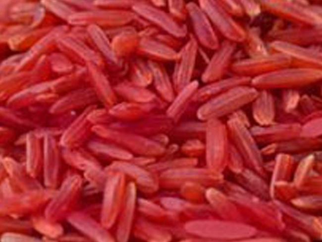 Robis, food supplement with red yeast rice