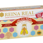 Reina Real Junior