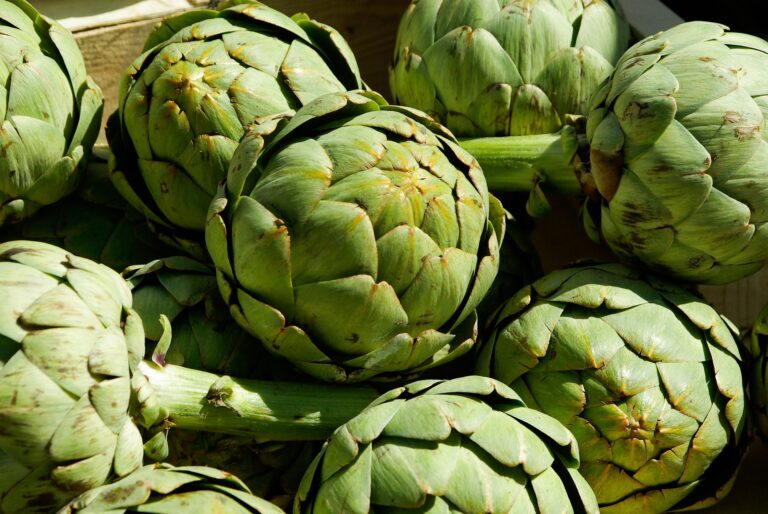 artichokes 759753 1920